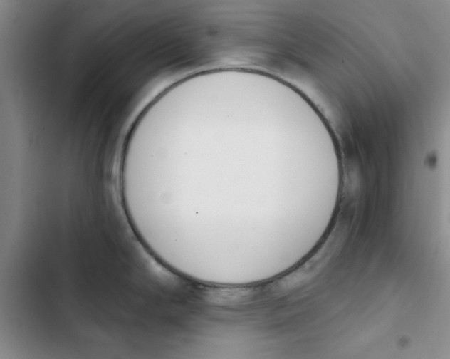 X0000102871294200809151226