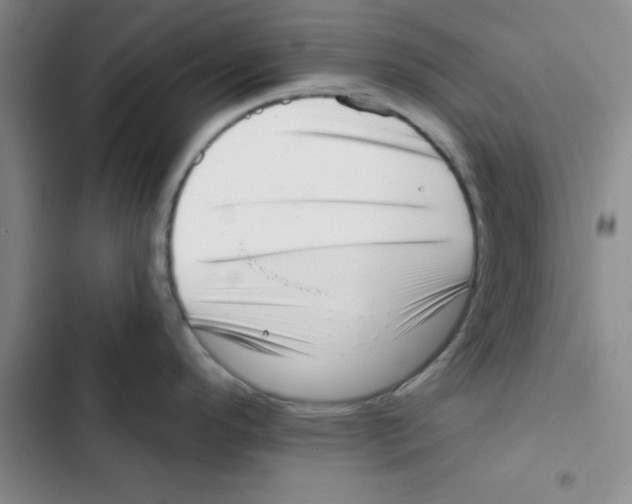 X0000102871296200809151226