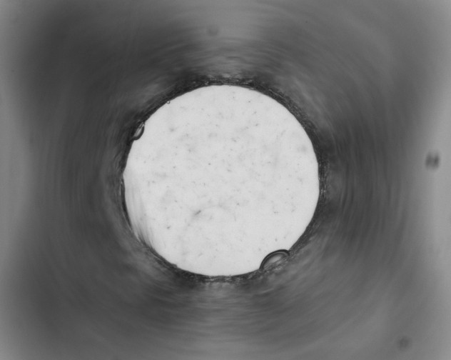 X0000102871297200809151225