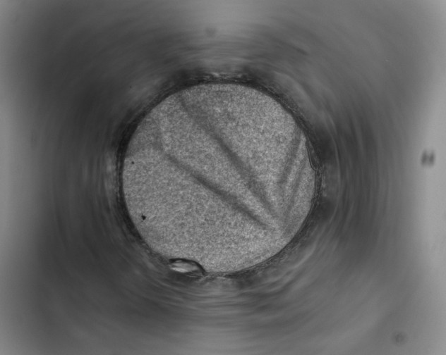 X0000102871298200809151225