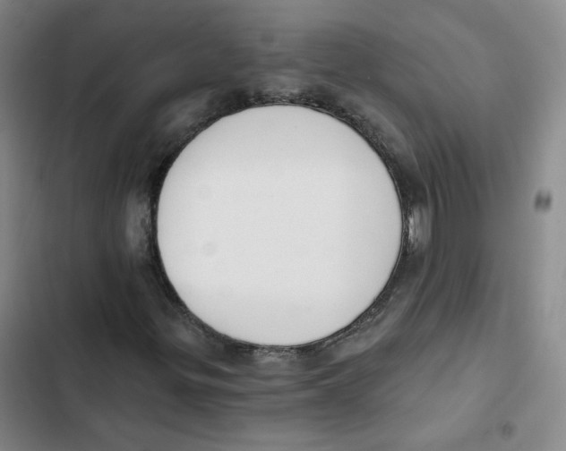 X0000102871299200809151225