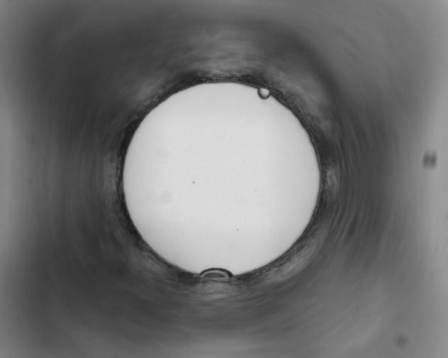 X0000102871300200809151225