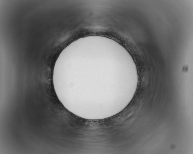 X0000102871301200809151225