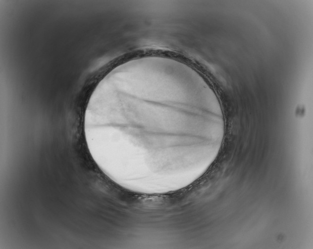 X0000102871303200809151225