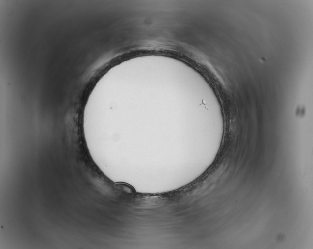 X0000102871304200809151225