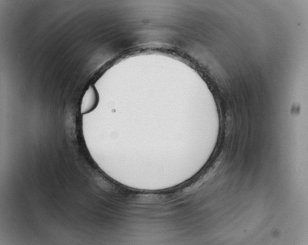 X0000102871305200809151225