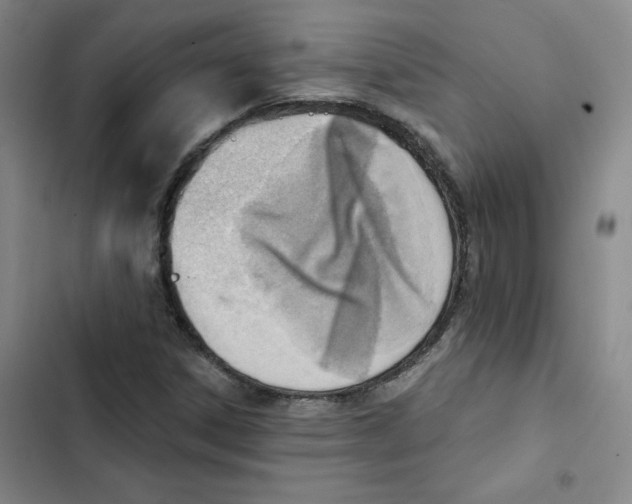 X0000102871306200809151225