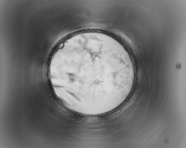 X0000102871310200809151225