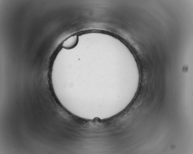 X0000102871312200809151225