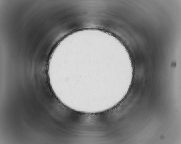 X0000102871314200809151225