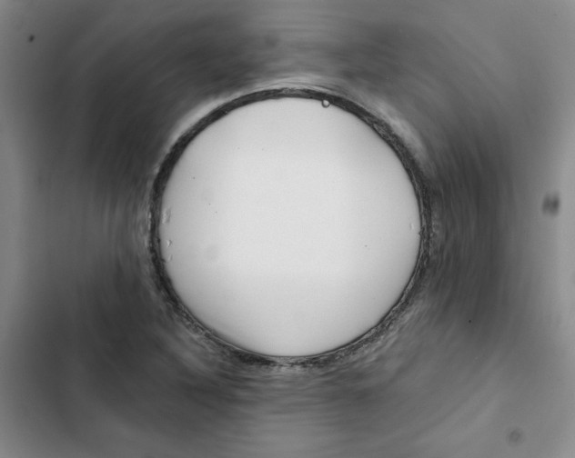 X0000102871316200809151225