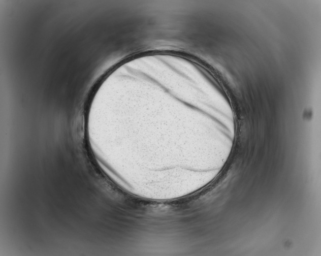 X0000102871317200809151225