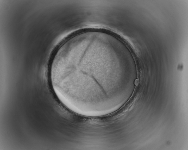 X0000102871319200809151225