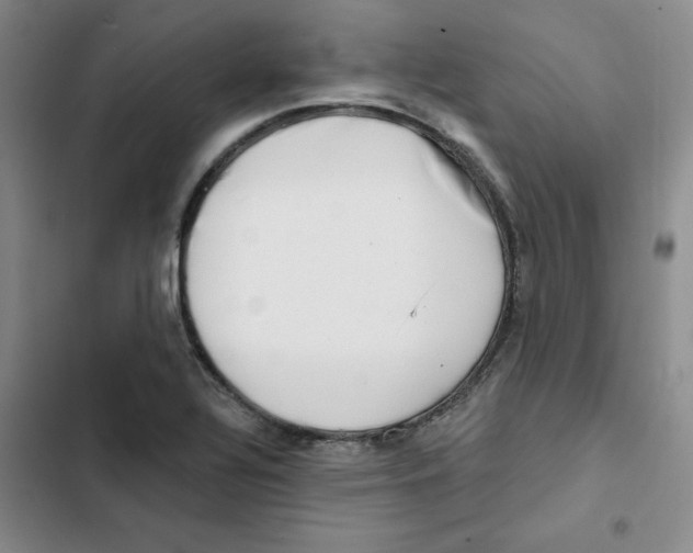 X0000102871320200809151225