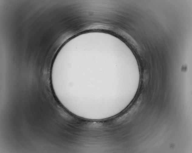 X0000102871321200809151225