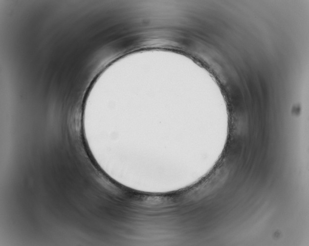 X0000102871322200809151225