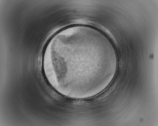 X0000102871323200809151225