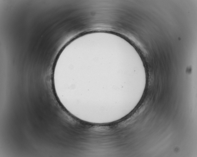 X0000102871325200809151226