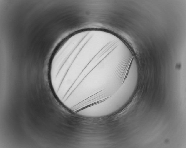 X0000102871326200809151226