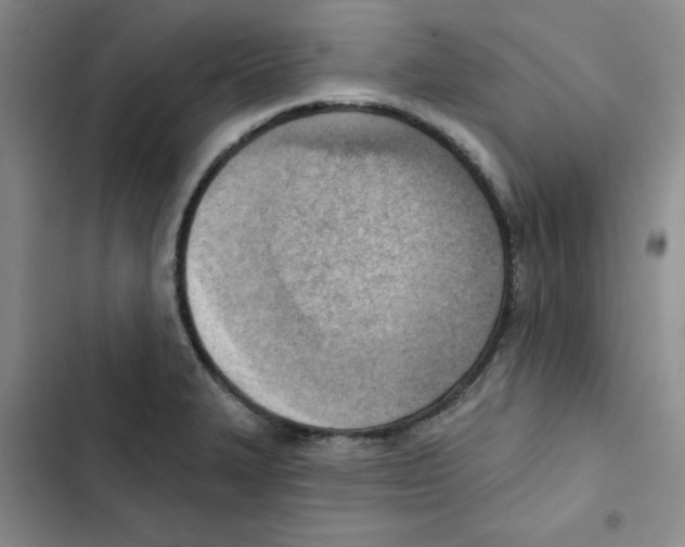 X0000102871327200809151226