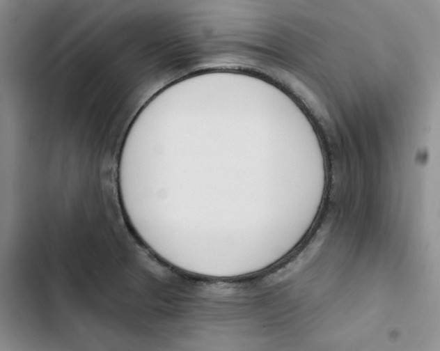 X0000102871329200809151226