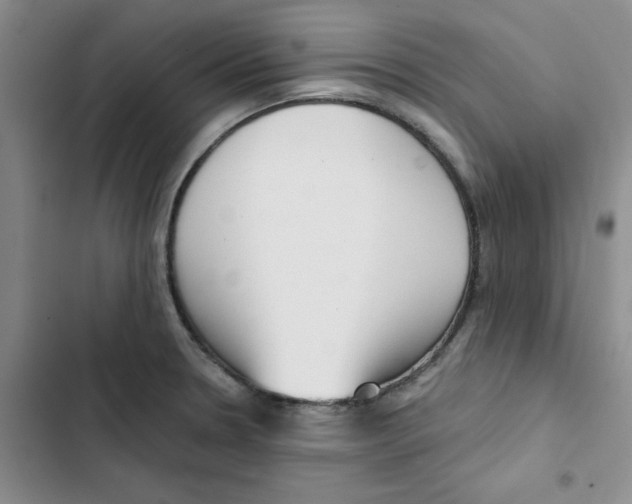 X0000102871330200809151226