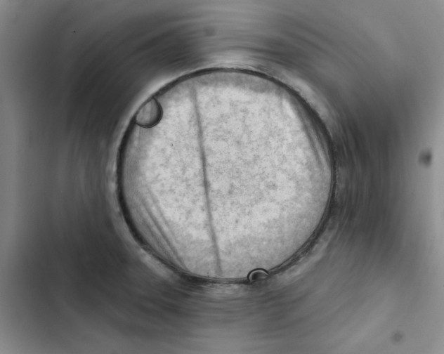 X0000102871331200809151226