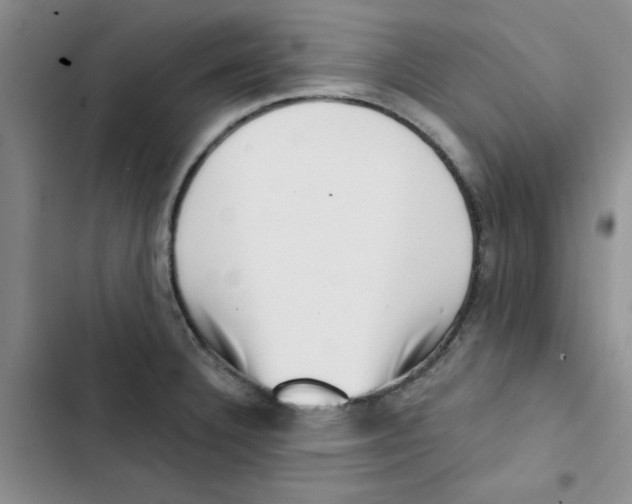 X0000102871332200809151226