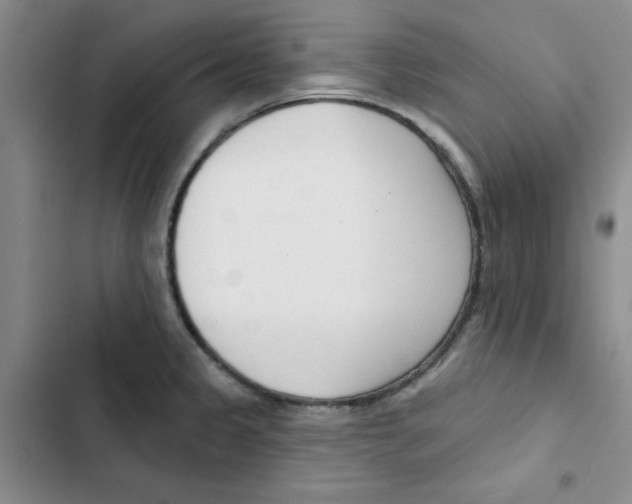 X0000102871333200809151226