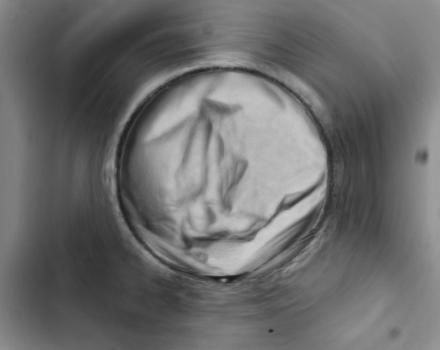 X0000102871334200809151226