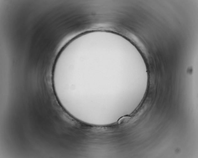 X0000102871336200809151226