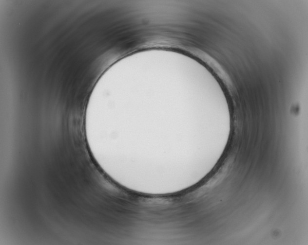 X0000102871337200809151226