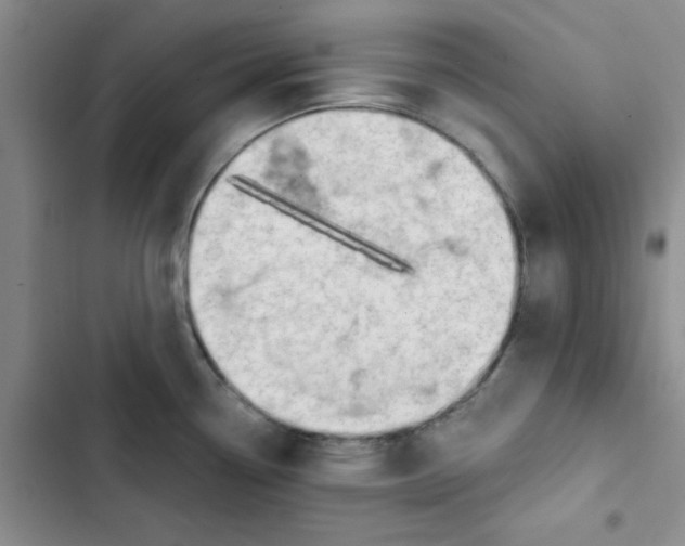 X0000102871338200809151226