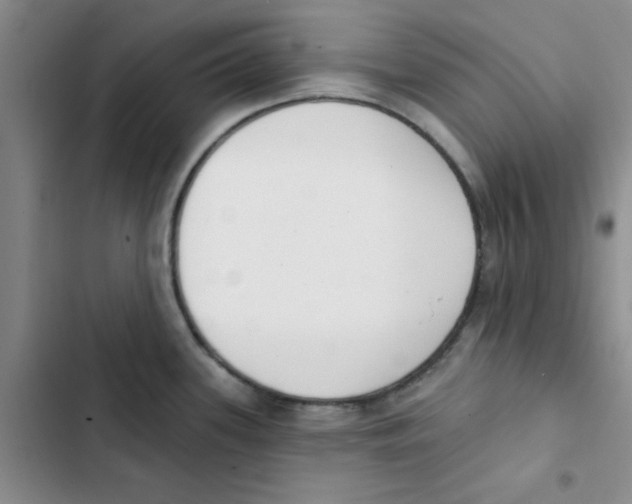 X0000102871339200809151226