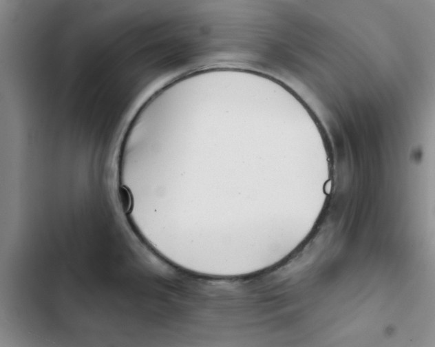 X0000102871341200809151226