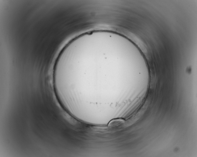 X0000102871342200809151226