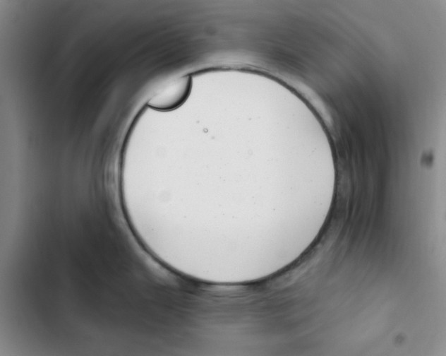 X0000102871343200809151226