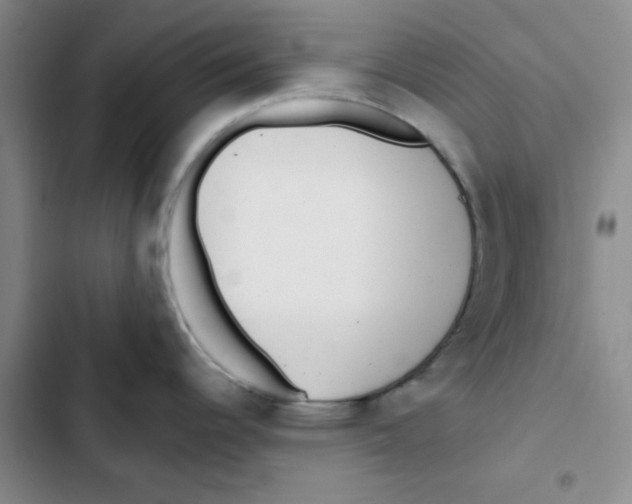 X0000102871344200809151226