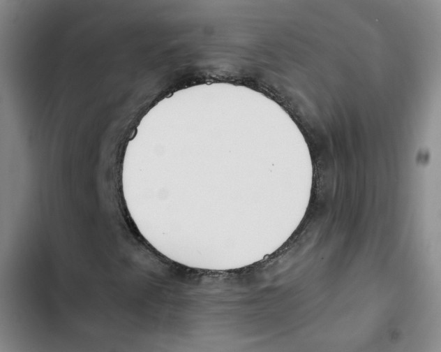 X0000102871345200809151225