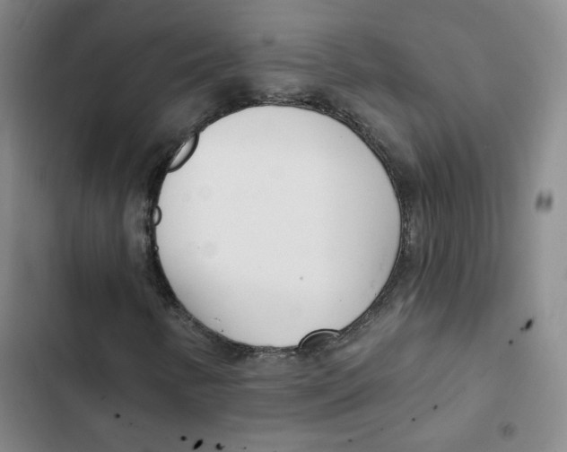 X0000102871346200809151225