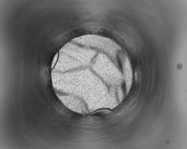 X0000102871347200809151225