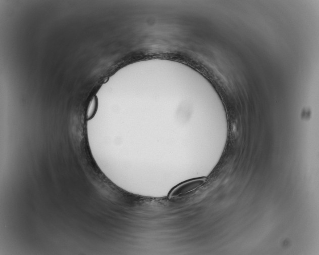 X0000102871348200809151225