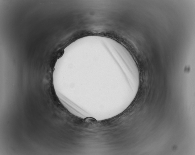 X0000102871349200809151225