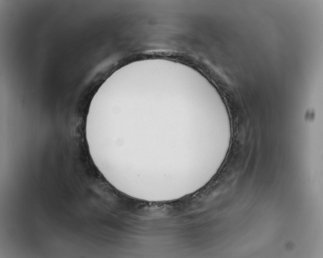 X0000102871351200809151225