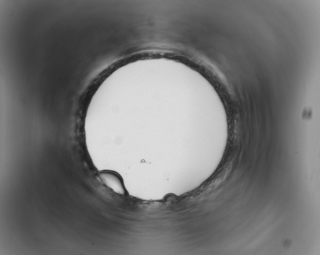 X0000102871352200809151225