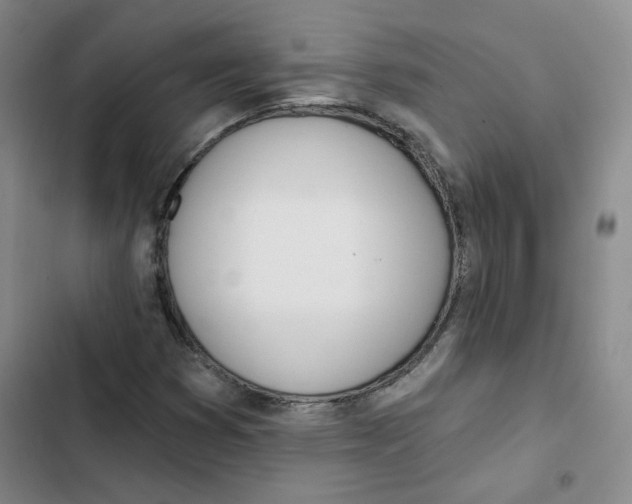 X0000102871353200809151225