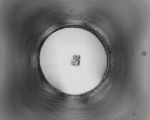 X0000102871354200809151225