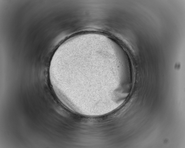 X0000102871355200809151225