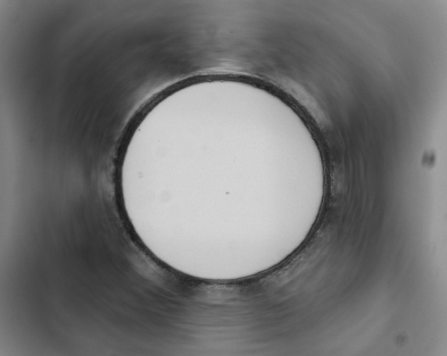 X0000102871356200809151225