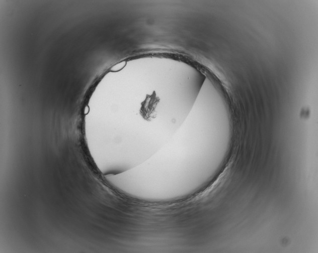 X0000102871357200809151225